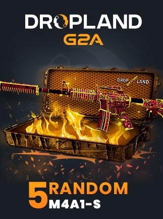 Counter Strike 2 RANDOM 5 CASE M4A1-S SKIN
