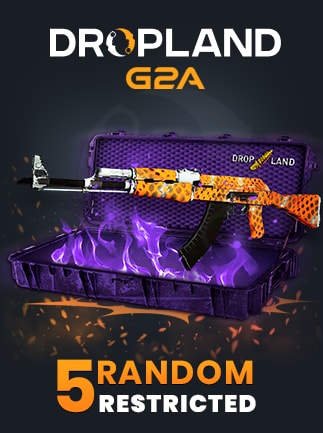Counter Strike 2 RANDOM 5 CASE RESTRICTED SKIN
