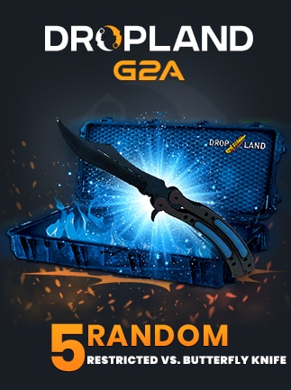 Counter Strike 2 RANDOM 5 CASE RESTRICTED VS. BUTTERFLY KNIFE SKIN