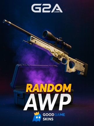 Counter Strike 2 RANDOM AWP SKIN
