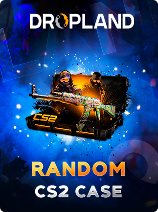 Counter-Strike 2 RANDOM CASE