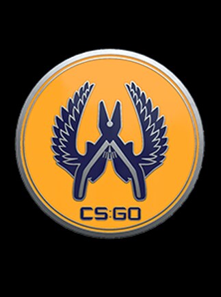 Counter-Strike: Global Offensive Guardian 2 PIN