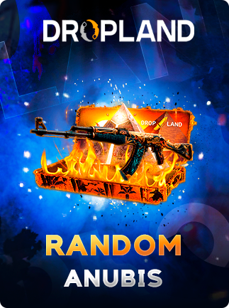 Counter-Strike: Global Offensive RANDOM ANUBIS