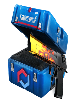 Counter-Strike: Global Offensive RANDOM CASE DESERT EAGLE SKIN BY FORCE-DROP.COM