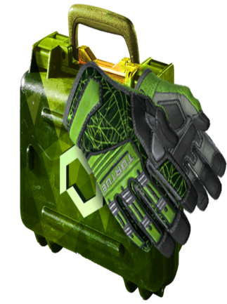 Counter-Strike: Global Offensive RANDOM CASE GLOVES SKIN BY FORCE-DROP.COM