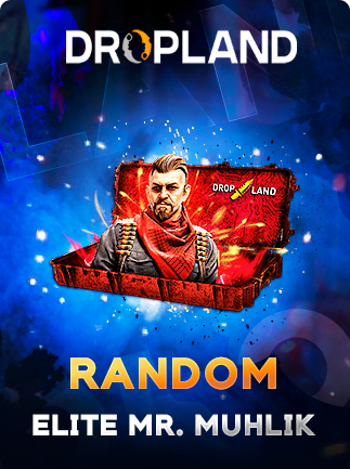 Counter-Strike: Global Offensive RANDOM ELITE MR. MUHLIK