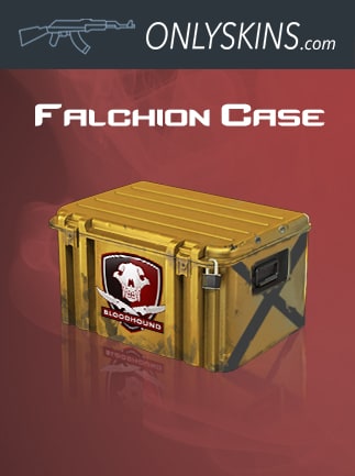 Counter-Strike: Global Offensive RANDOM FALCHION CASE SKIN