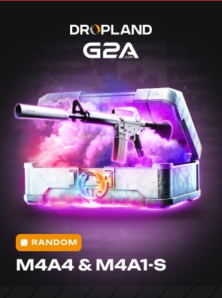 Counter-Strike: Global Offensive RANDOM M4A1-S SKIN