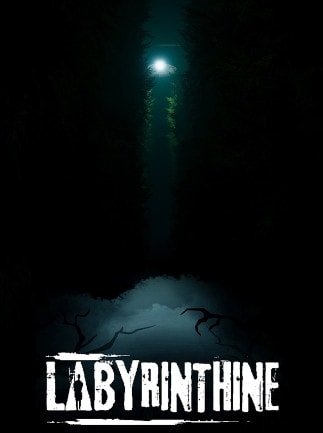 Labyrinthine