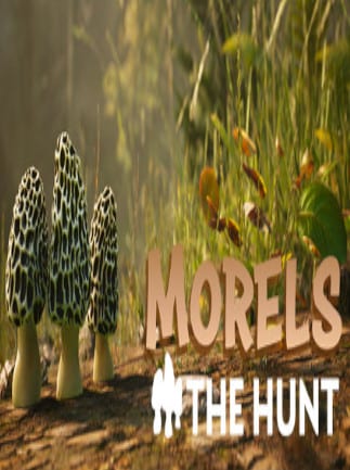 Morels: The Hunt