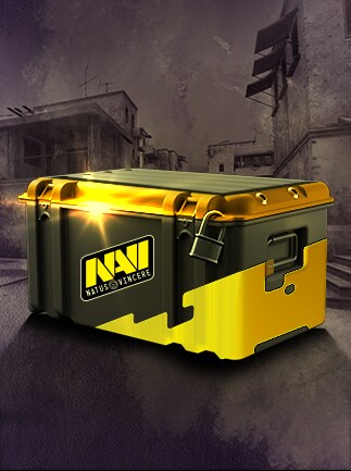 Natus Vincere CS:GO Random Skin Case