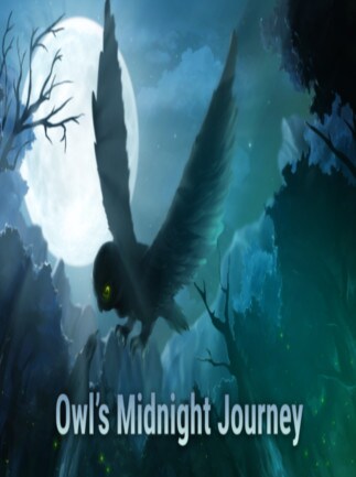 Owl's Midnight Journey