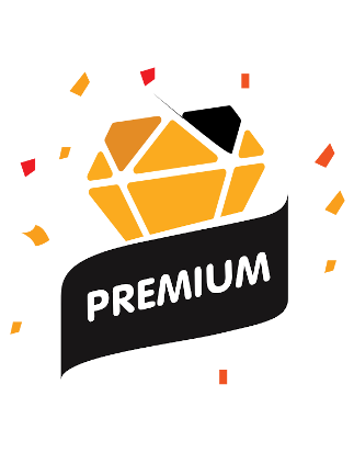 RANDOM PREMIUM STEAM KEY CASE