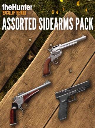 TheHunter: Call of the Wild - Assorted Sidearms Pack