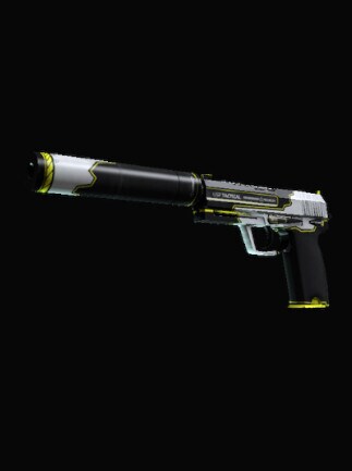 USP-S | Torque
