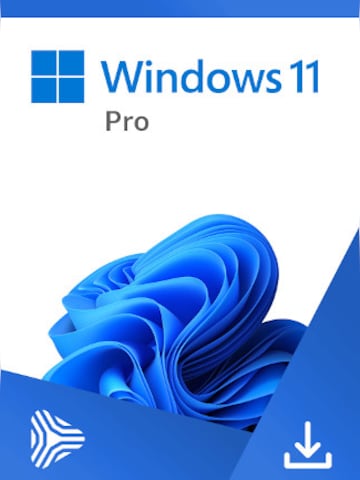 Microsoft Windows 11 Pro (PC)