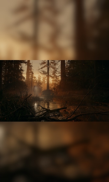Creating Alan Wake 2: Sam Lake talks dark urban dreamscapes, player choice,  and more - Epic Games Store