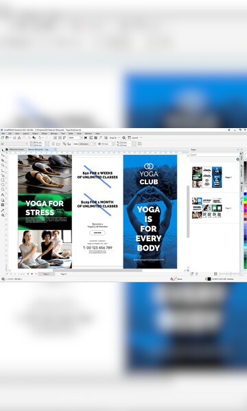 Buy CorelDRAW 2021 Standard (1 PC, Lifetime) - Corel Key - GLOBAL ...