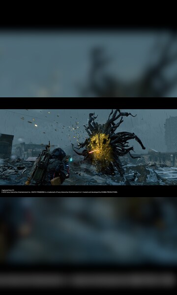 Death Stranding | Director's Cut (PS4) - PSN Key - EUROPE - 7