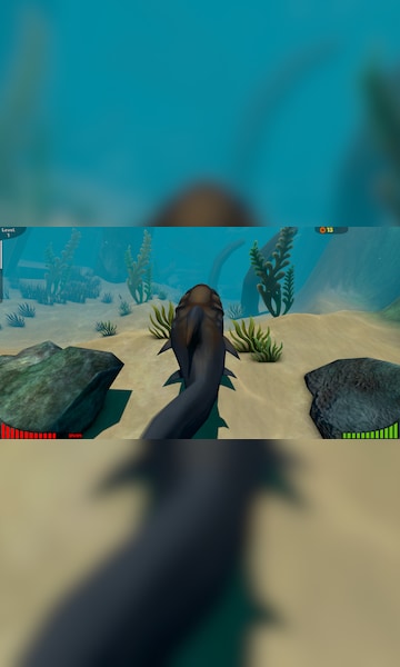 Feed And Grow Fish Download Full Game PC - Gaming Beasts