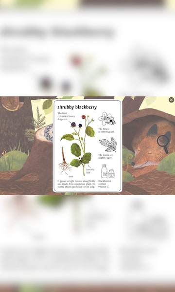 Exploring the Forest with Little Mouse's Encyclopedia - Xbox Wire