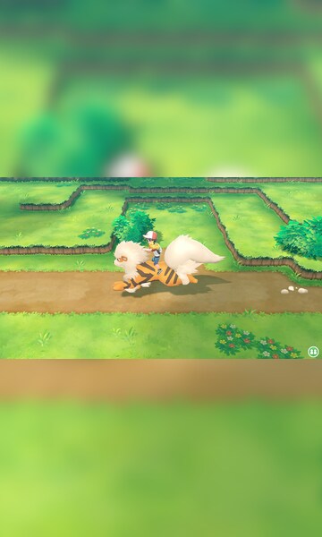 Pokémon: Let's Go, Pikachu Nintendo Switch Account pixelpuffin.net  Activation Link