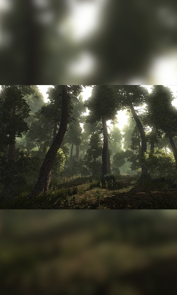 Risen Franchise Pack Steam Key GLOBAL - 17
