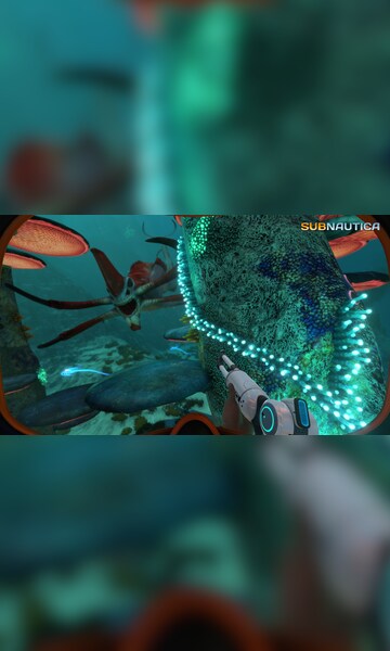 Subnautica deep ocean bundle что это