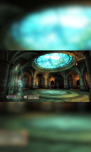 The Elder Scrolls IV: Oblivion GOTY Steam Key GLOBAL - 19