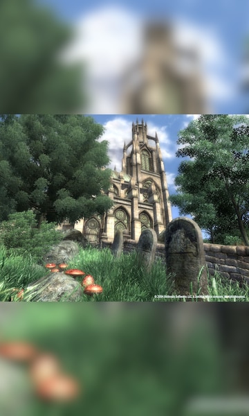 The Elder Scrolls IV: Oblivion GOTY Steam Key GLOBAL - 14