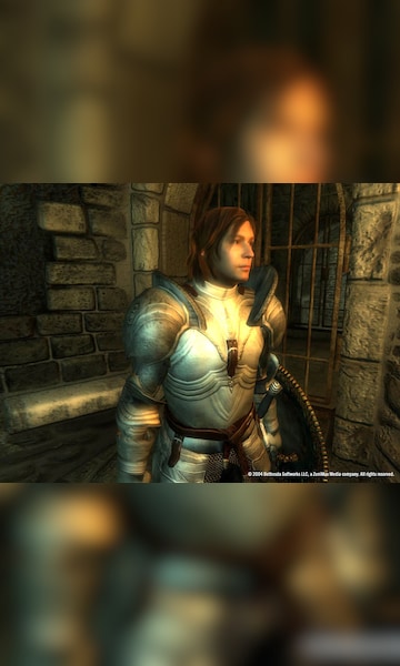 Dragon's Dogma: Dark Arisen GAME MOD Female HD v.1.0 - download