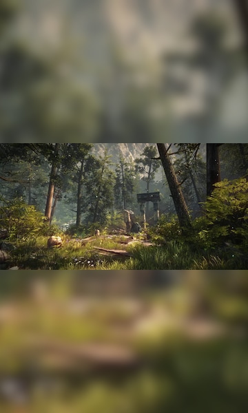 The Forest (PC) - Steam Gift - GLOBAL - 13