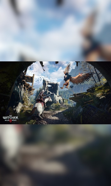 The Witcher 3: Wild Hunt GOG.COM Key GLOBAL - 9