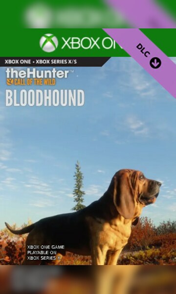 theHunter: Call of the Wild™ - Bloodhound