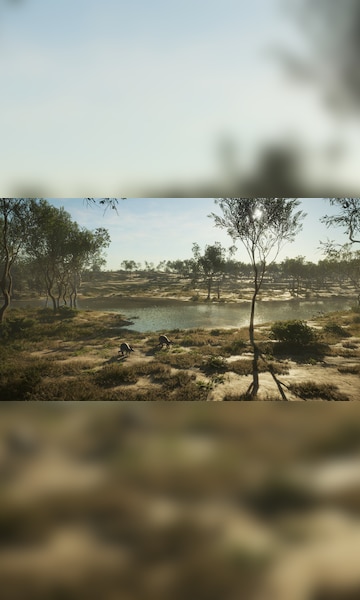 theHunter: Call of the Wild - Emerald Coast Australia (Xbox One) - Xbox Live Key - ARGENTINA - 4