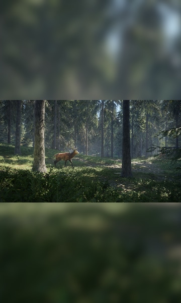 theHunter: Call of the Wild™ - Greenhorn Bundle