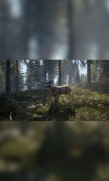 theHunter: Call of the Wild™ - Greenhorn Bundle