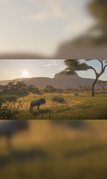 theHunter: Call of the Wild™ - Vurhonga Savanna