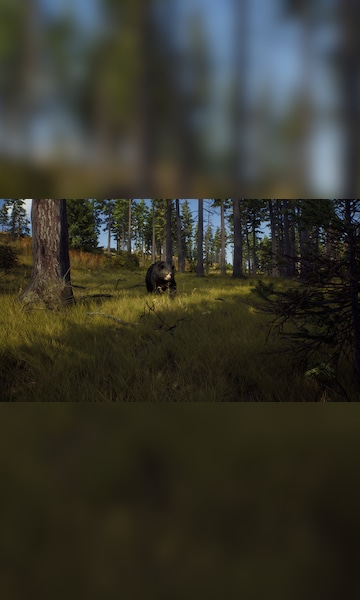 Buy The Hunt in the Forest PC Steam key! Cheap price | ENEBA
