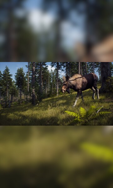 Buy The Hunt in the Forest PC Steam key! Cheap price | ENEBA