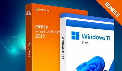 Windows 11 Professional OEM 64 Bit DVD, Office 2021 Pro Plus & Logitech  Wireless Mouse