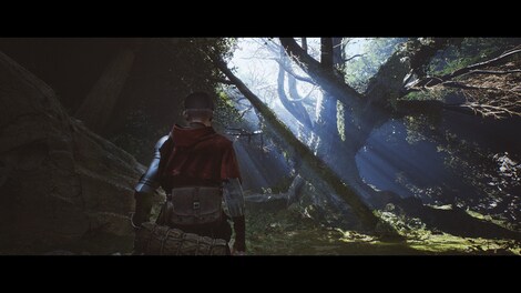 1348: Ex Voto (PC) - Steam Gift - GLOBAL - 5