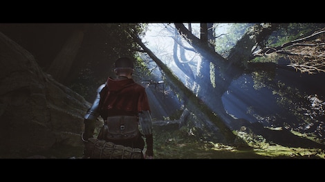 1348: Ex Voto (PC) - Steam Key - NORTH AMERICA - 5