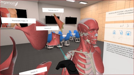 3D Organon VR Anatomy Steam Gift GLOBAL - 10