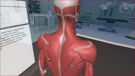 3D Organon VR Anatomy Steam Gift GLOBAL - 6