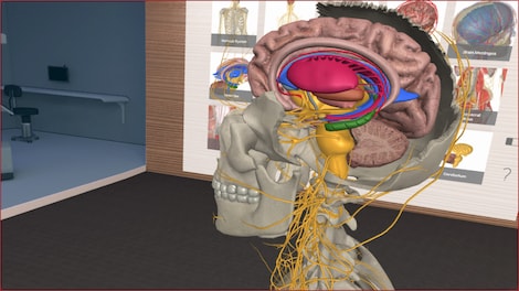 3D Organon VR Anatomy Steam Gift GLOBAL - 9