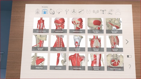 3D Organon VR Anatomy Steam Gift GLOBAL - 8