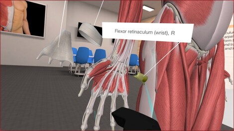 3D Organon VR Anatomy Steam Gift GLOBAL - 7