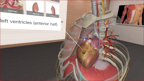 3D Organon VR Anatomy Steam Gift GLOBAL - 3