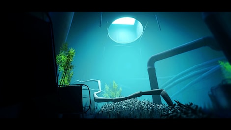 Acanthoceras (PC) - Steam Account - GLOBAL - 6